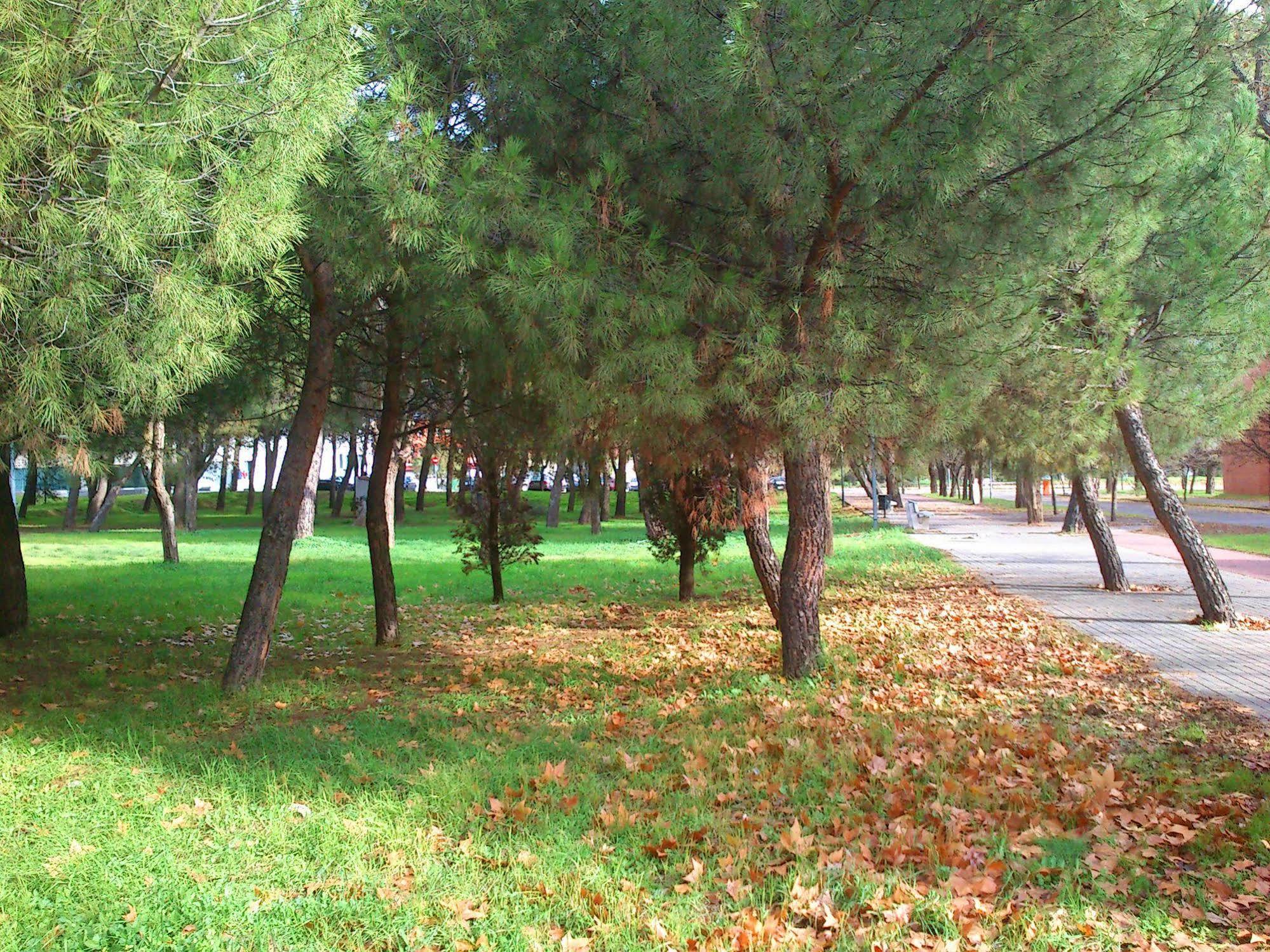 Residencia Universitaria Resa Giner De Los Rios Alcalá de Henares Eksteriør billede